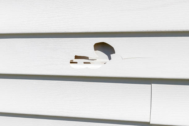 Lacoste, TX Siding Installation & Repair Company